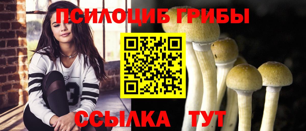Псилоцибиновые грибы Magic Shrooms  Псилоцибиновые грибы Magic Shrooms  наркошоп  Вход с VPN  Вольск 